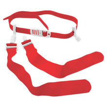 Champion Sonic Flag 52" (Dozen)