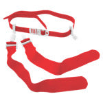 Champion Sonic Flag 42" (Dozen)