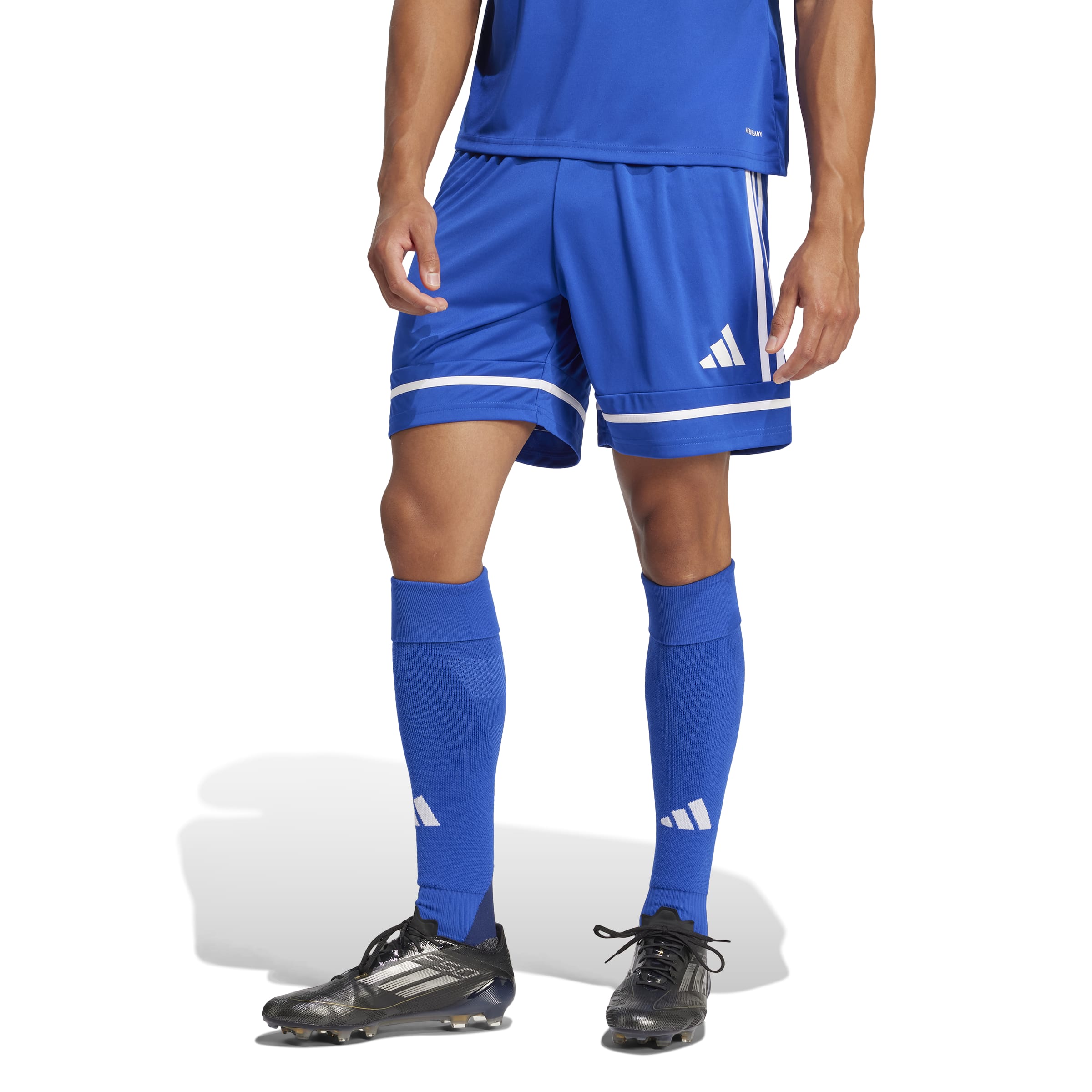 adidas Squadra 25 Short - Team Royal Blue/White