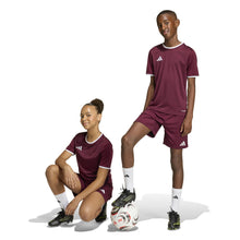 adidas Entrada26 Short - Team Maroon 2/White